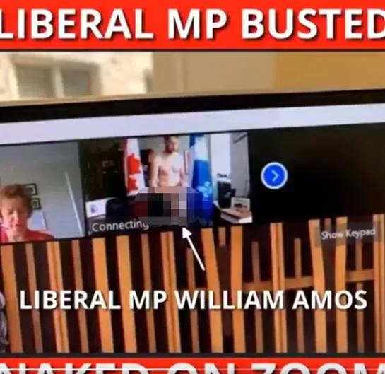 加拿大议员会议出镜,加拿大议员出镜