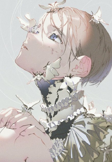 米山舞在哪当的动画师,米山舞是原画师还是插画师