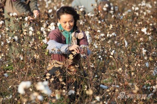 妇女月明偷棉花，光棍巧遇来惩罚（故事下篇）