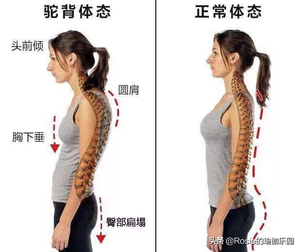 久坐屁股腰有肉怎么减,久坐导致腿粗屁股大怎么瘦