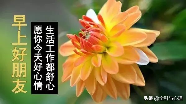 简短的温馨的早安问候语短信25条,早安祝福短信最温馨的话