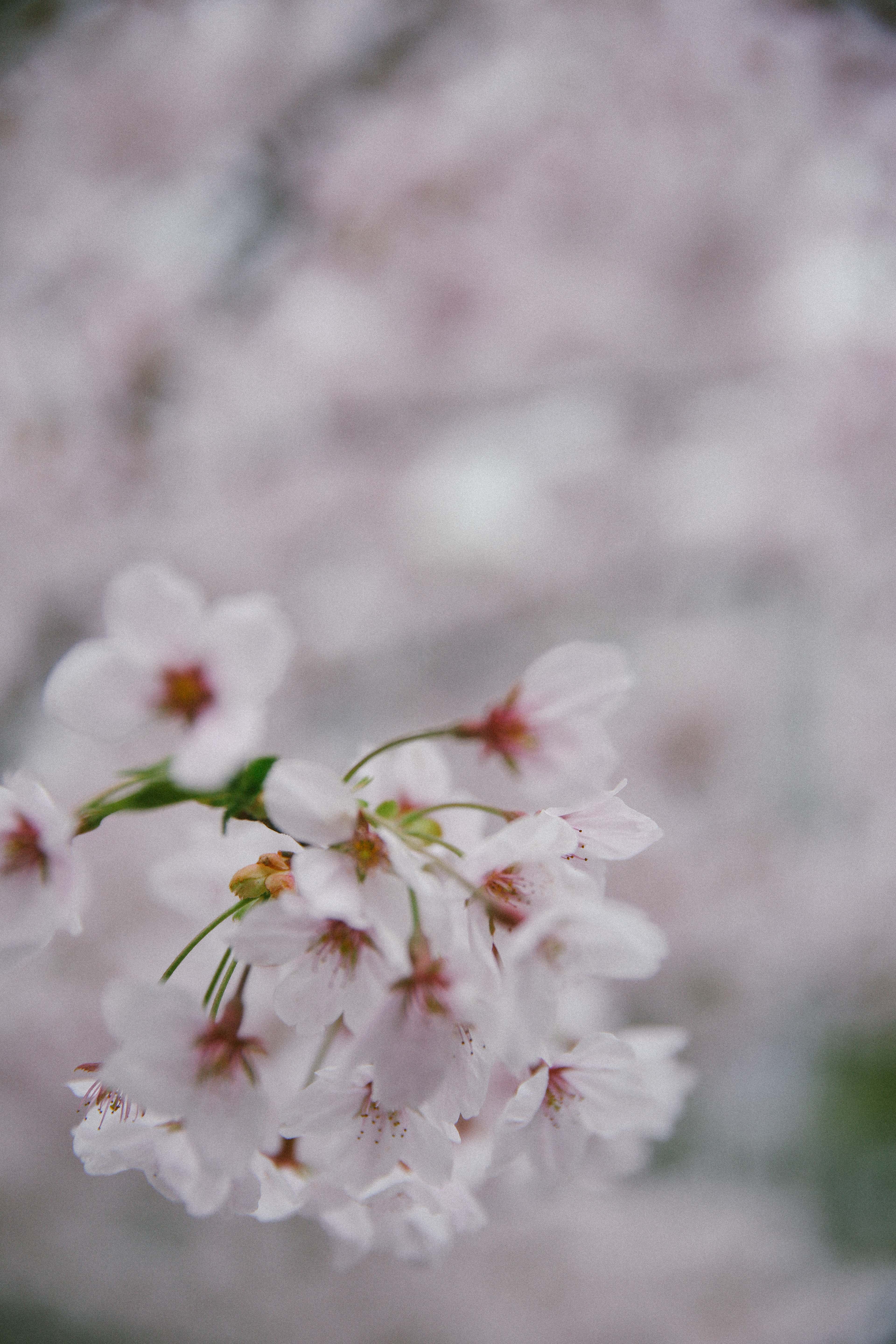 在首尔生活感受,在首尔的悠闲时光