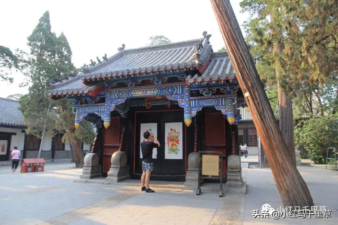 曲阜孔府孔庙孔林历史背景,曲阜孔府孔庙孔林一游