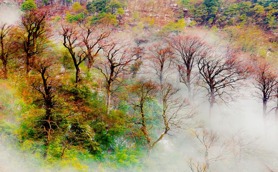 湖南第一家国家石漠公园,中国第一个国家森林公园张家界