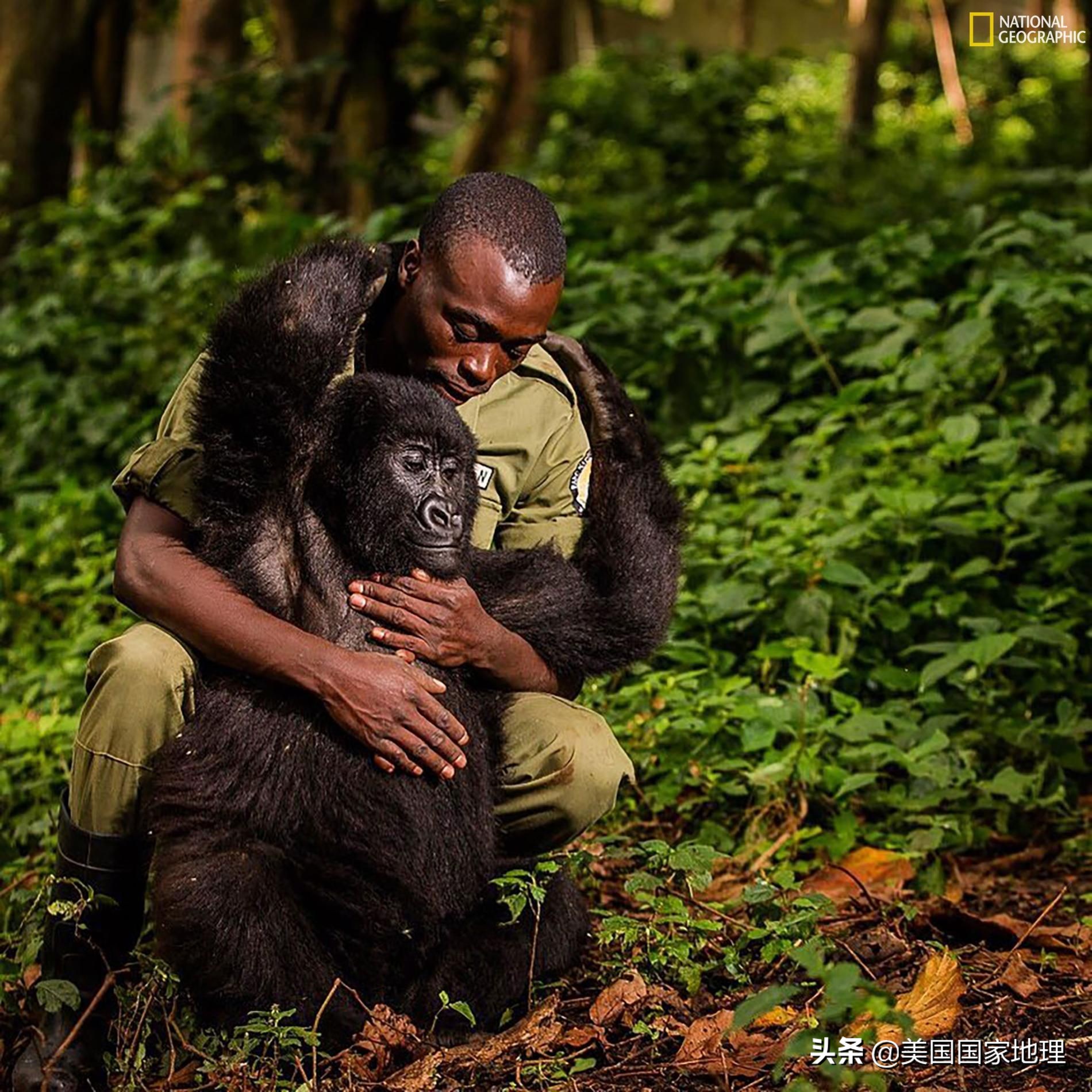 万中选一！大自然是怎样赋予照片灵魂的？