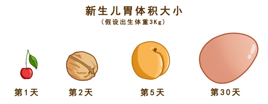 医生科普新生儿,医生必知的100个秘密