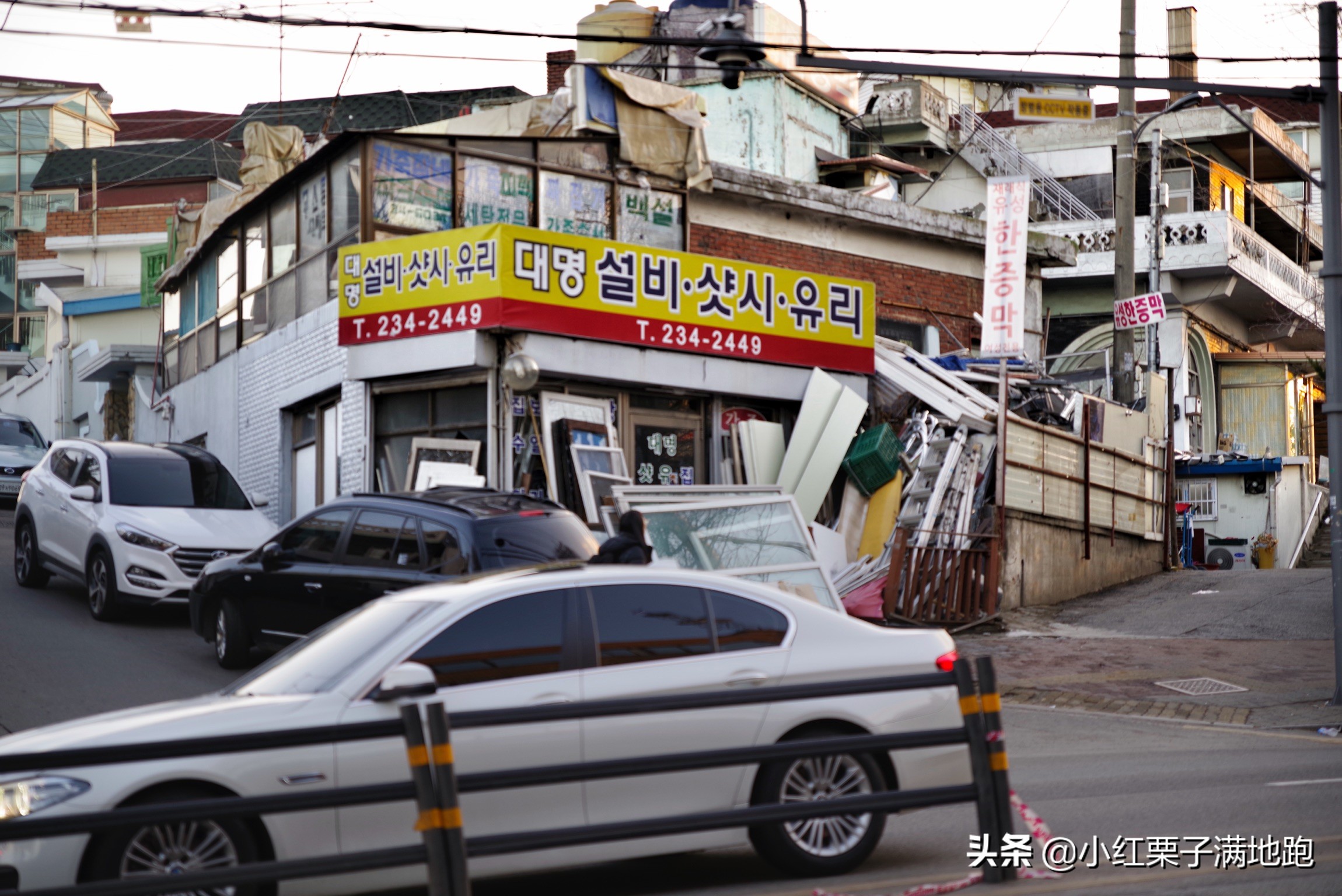 疫散花开张家界,疫散花开欢迎归来