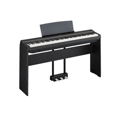 怎样选购电子琴以及电子琴价格,给十岁孩子怎样选购电子琴