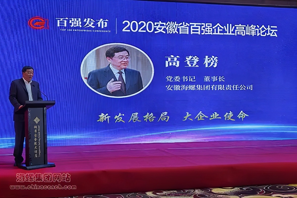 安徽省海螺集团有限责任公司,海螺集团在安徽省什么水平