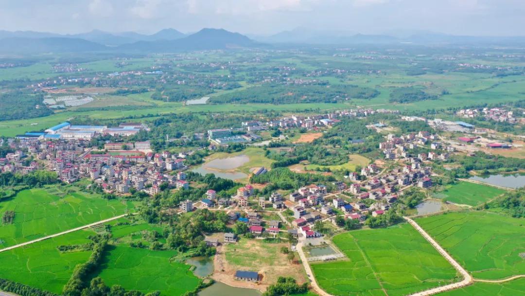 宅改基本情况,宅改项目怎么做