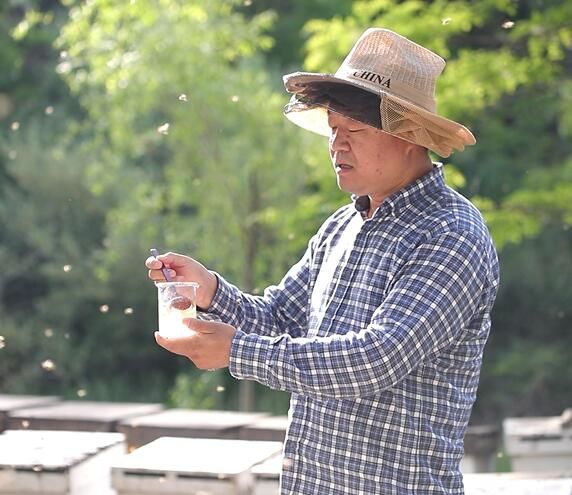 蜂蜜的选购,蜂蜜选购