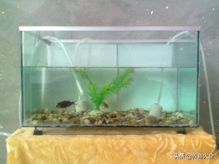 用烟灰缸砸小三,有人用烟灰缸砸老婆