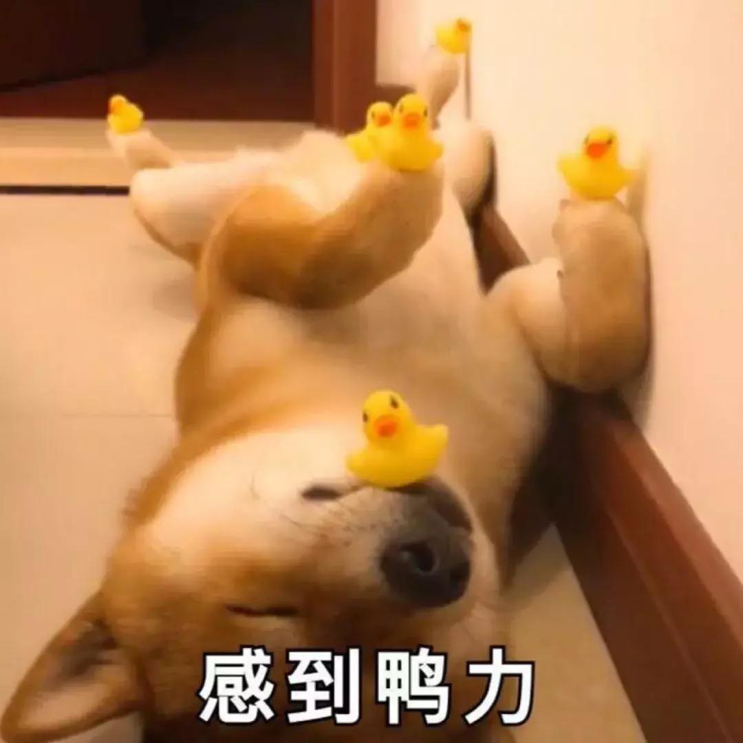 gucci和supreme联名马丁靴,guccisupreme鞋子