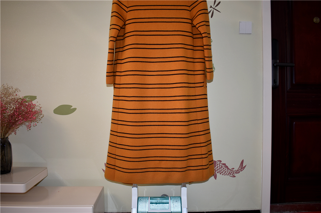 卓力智能增压挂烫机bg538pl,卓力bg546挂烫机