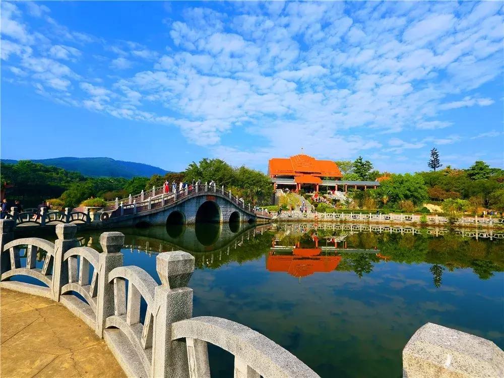 郑州春节周边景区免费景点大全,春节赏花的好去处