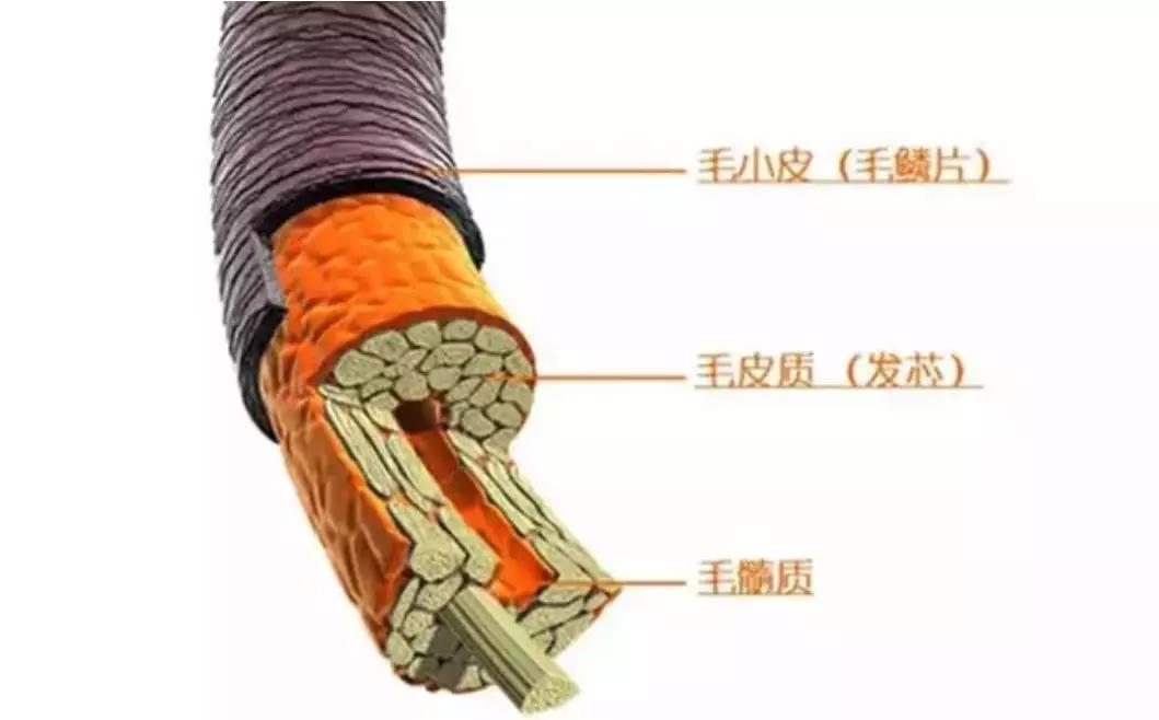 最详细的洗头教程,怎么才是正确的洗头方法