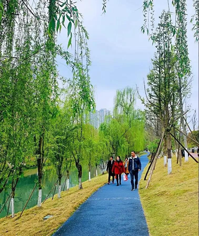 十年来有多少人选择了成都成华？|成华融媒