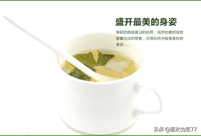 荷叶分布在哪里,哪里的荷叶是最好的