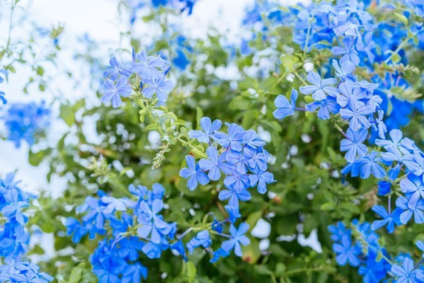 广州南沙最美风景区,南沙湾区超美风景线