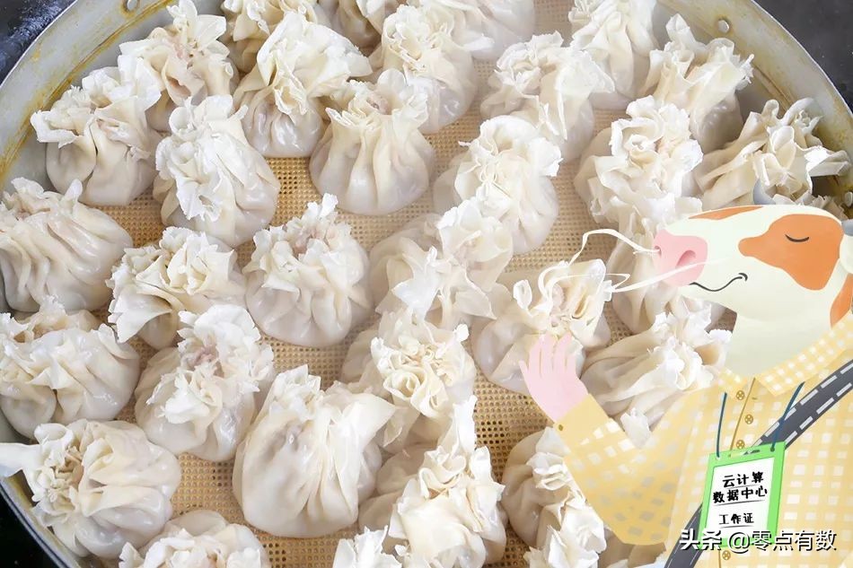 呼和浩特奶萌兽：足球摔跤样样行，体育课代表非它莫属！