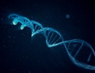 美容行业的婴儿针是什么,婴儿针美容产品