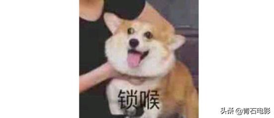 印度又一高分神作电影,印度出神片