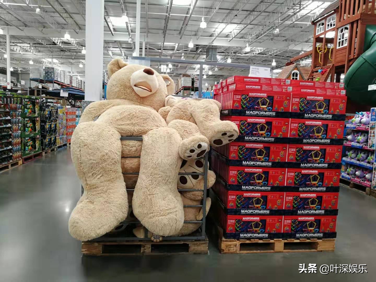 年收入18.2亿澳元、销售额猛增14％，澳洲Costco卖的都是啥？