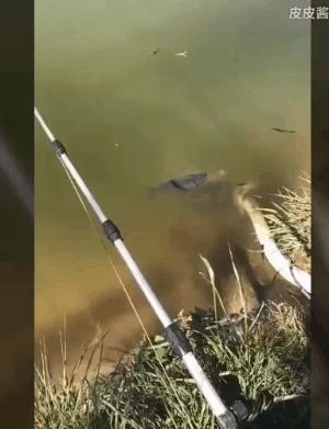 文能提笔安天下武能握枪保家国,文能提笔安天下武能挥刀治国家