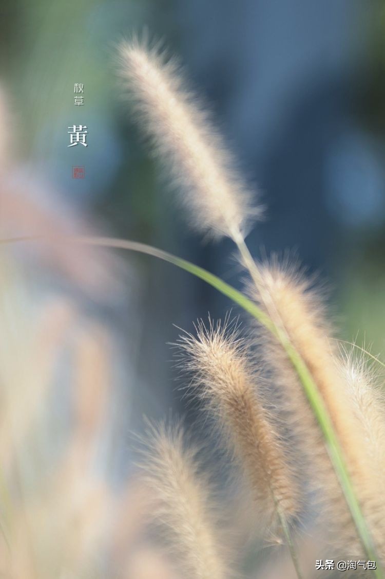 秋分愿生活恰如其分,人生恰如秋分生活恰如其分