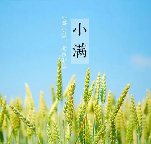 伏天健脾祛湿老鸭汤,陈皮水鸭汤祛湿