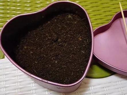 富贵竹黄叶了怎样补救不长根,富贵竹叶子没有生根发黄怎么办