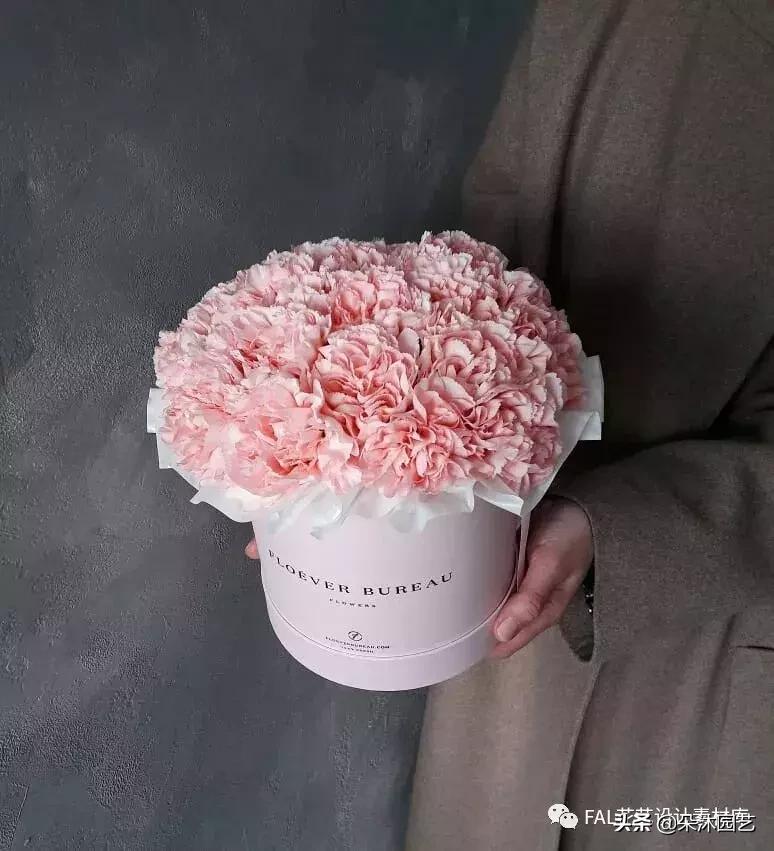 母亲节花束康乃馨用什么样的,母亲节花束红色康乃馨款式图片