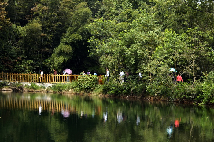 凤凰峡岭南小九寨原生态景区，素有“广东九寨沟”之美誉。不错吧
