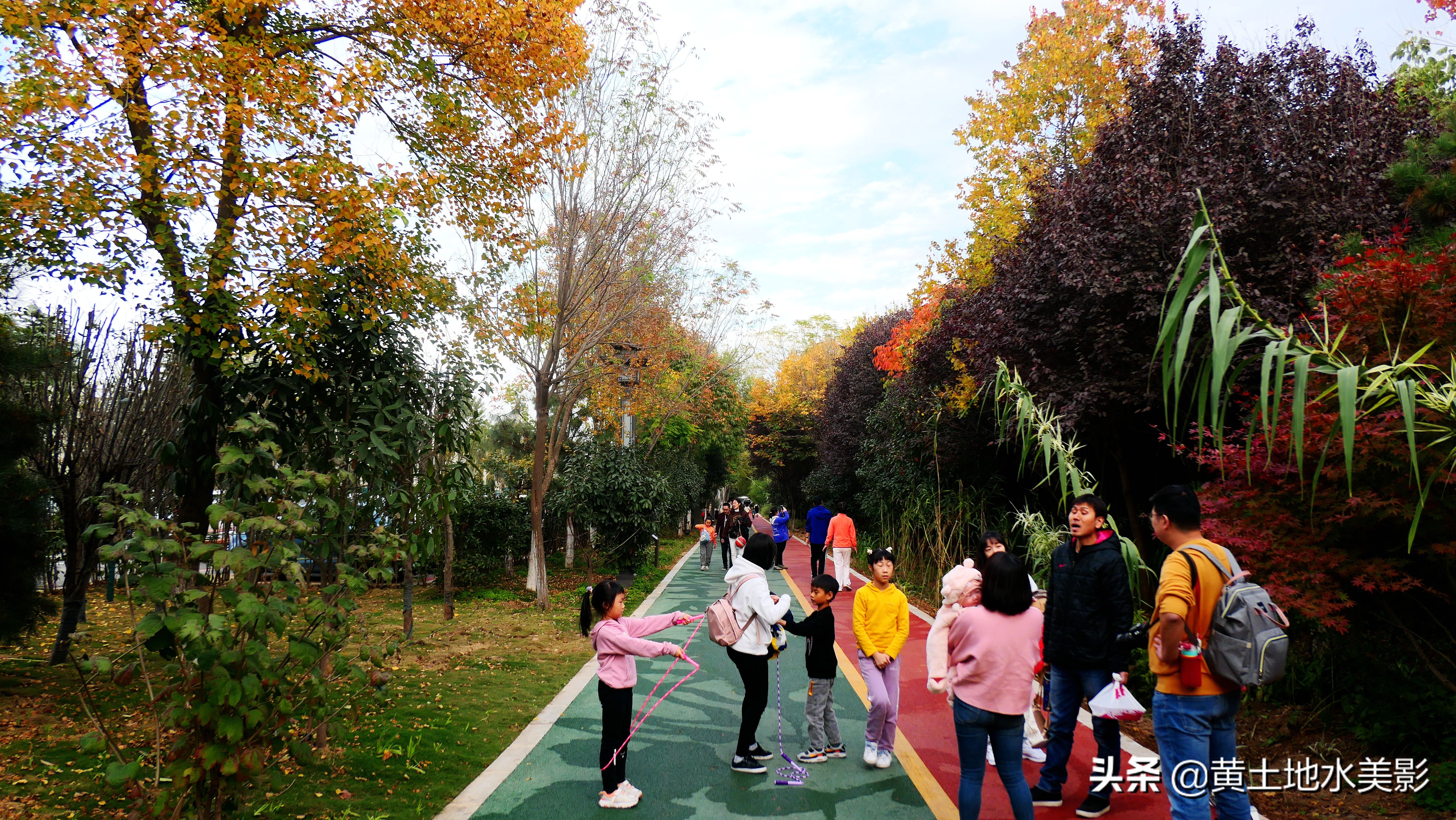 免费游玩东湖公园攻略,游玩国家湿地野鸭湖