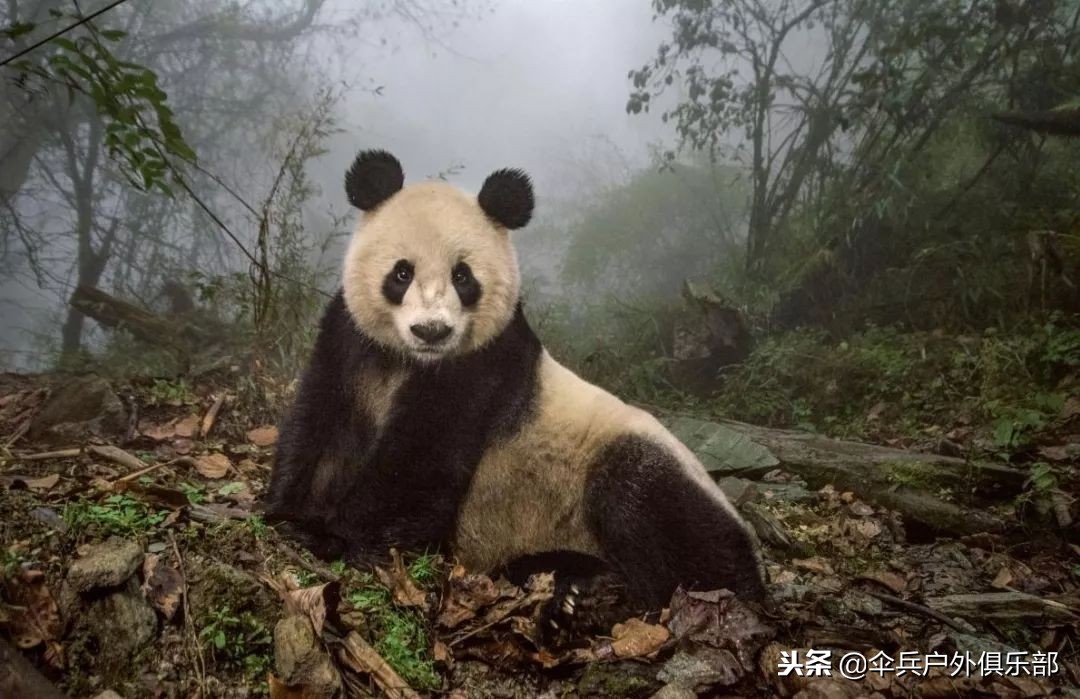 国内值得自驾的七条绝美路线,适合7天自驾的最美路线