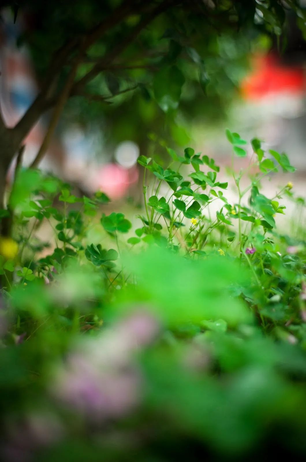 一首春歌原唱完整版,关于春歌的诗词