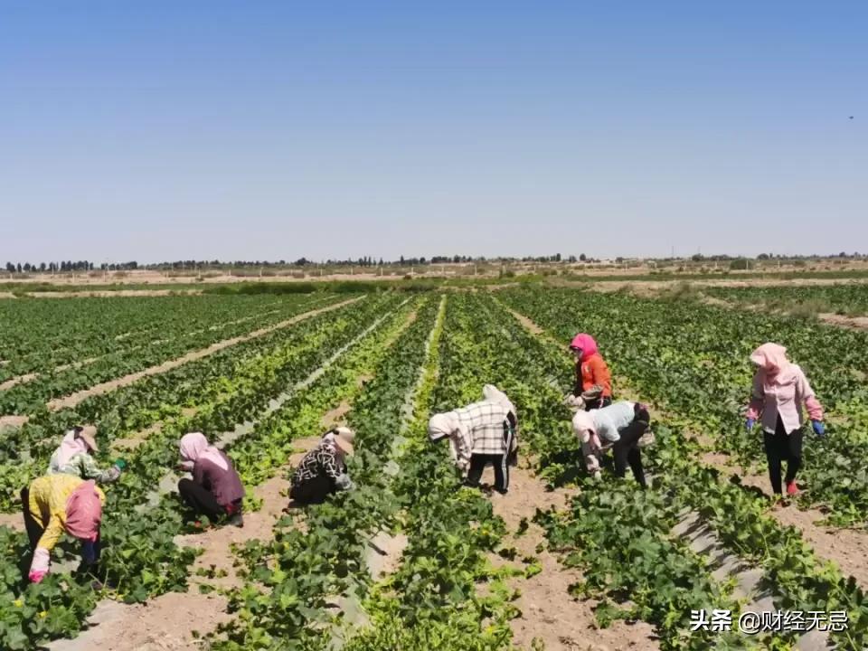 淘特近一天回复率为0怎么提升,淘特销量累积