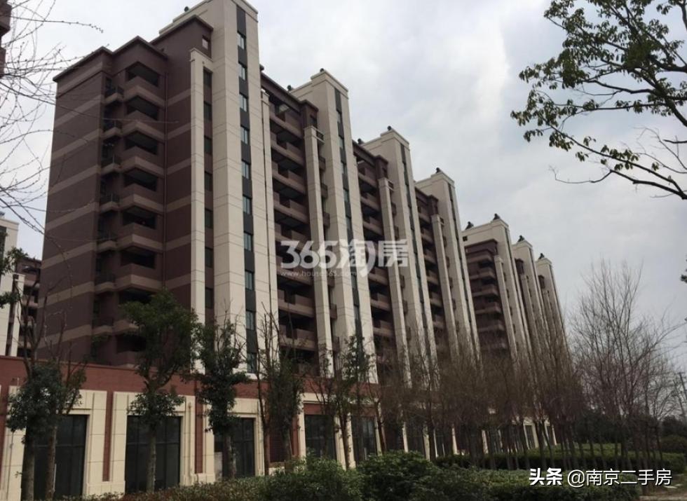 卖了九年房子后悔,五桥板块未来5年房价