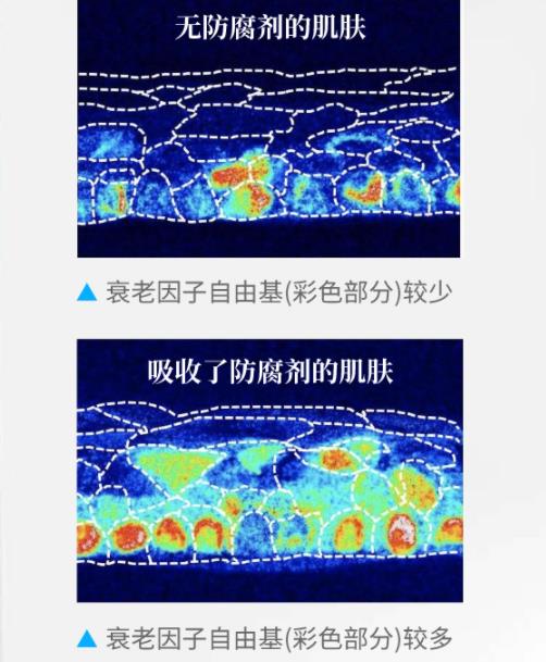 成品面膜逐渐被淘汰，女生开始青睐“现做”面膜，网友：用着放心