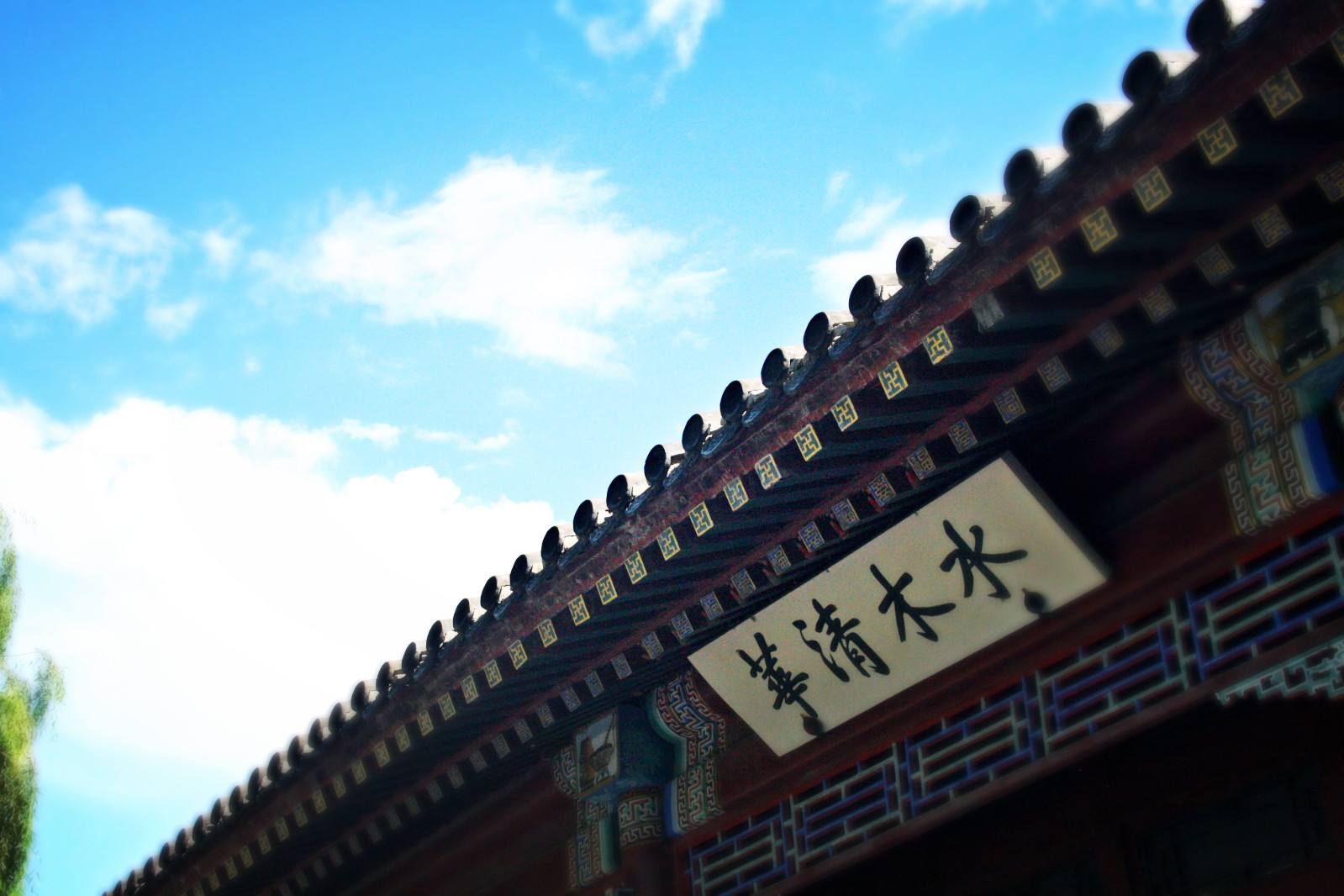 中国逆袭成功的学生,中国逆袭真实案例