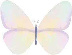 国家给了无锡什么政策,无锡政府补贴什么时候给