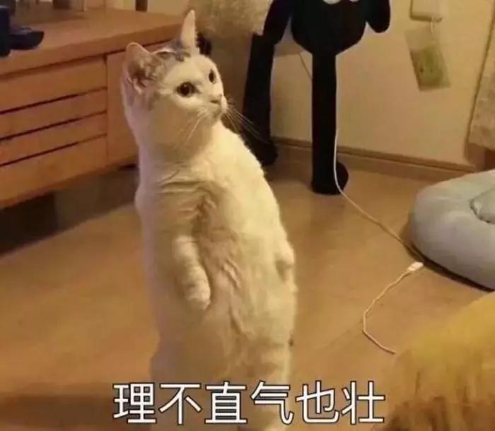 养了三年的猫突然想攻击我,养了两年的猫对我特别防备