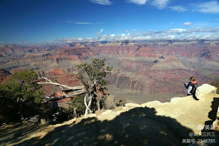 鍖楃編鏋儏闃虫柊,鍖楃編鏋儏鍥剧墖