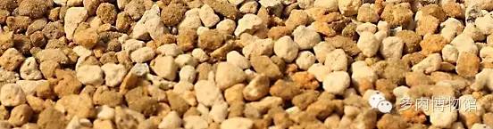 多肉用什么土长得快怎么配土,新手养多肉怎么配土最好