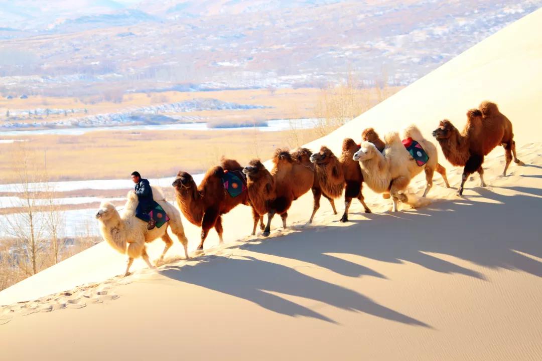 草原深度游坝上,草原秋季7日游