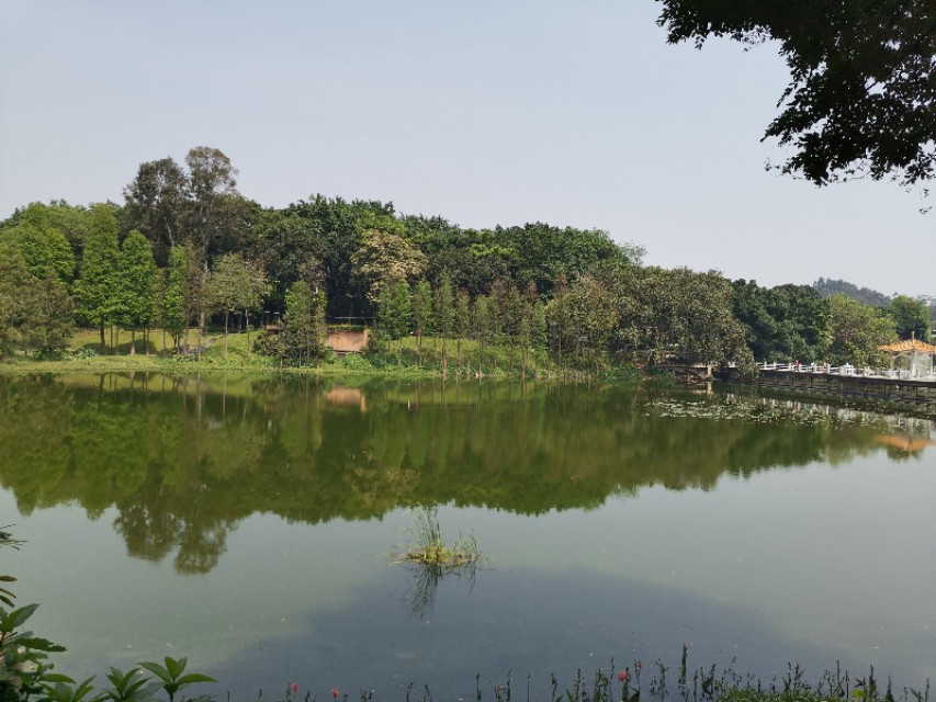 白云山云道起点和终点,白云山云道导览图