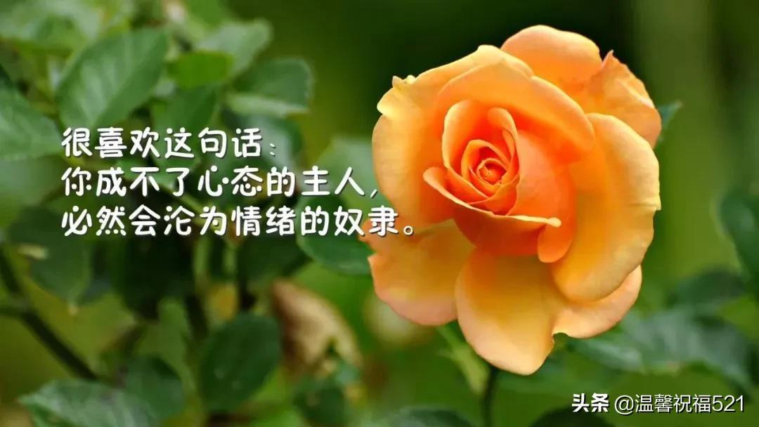 朋友圈触动人心的早安说说,最触动人心的早安句子