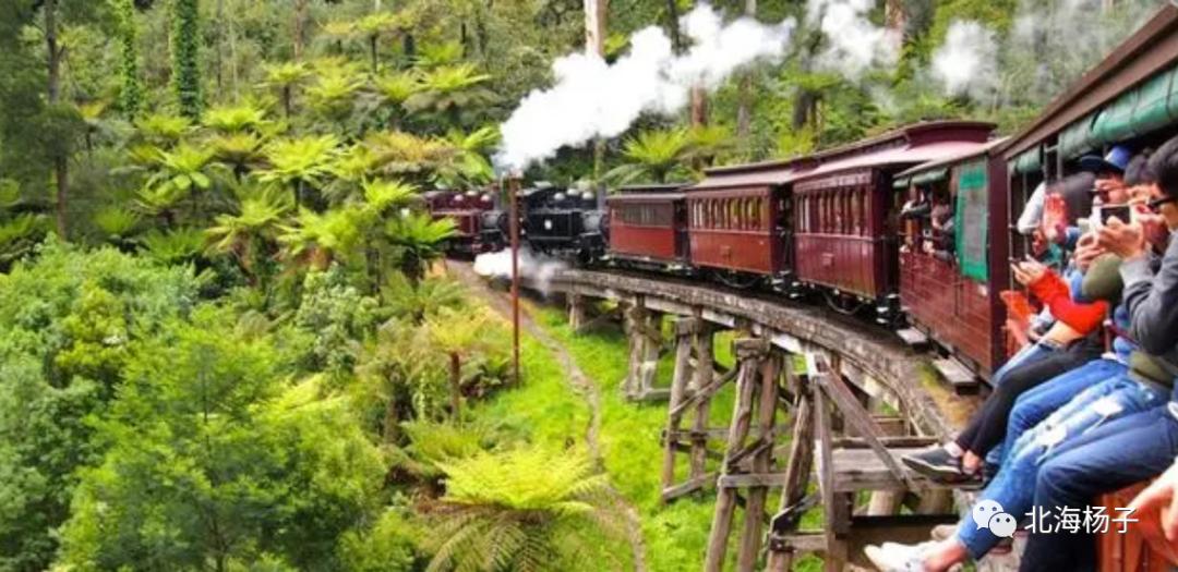 中国气候宜居城市2021,2021亚洲最宜居城市