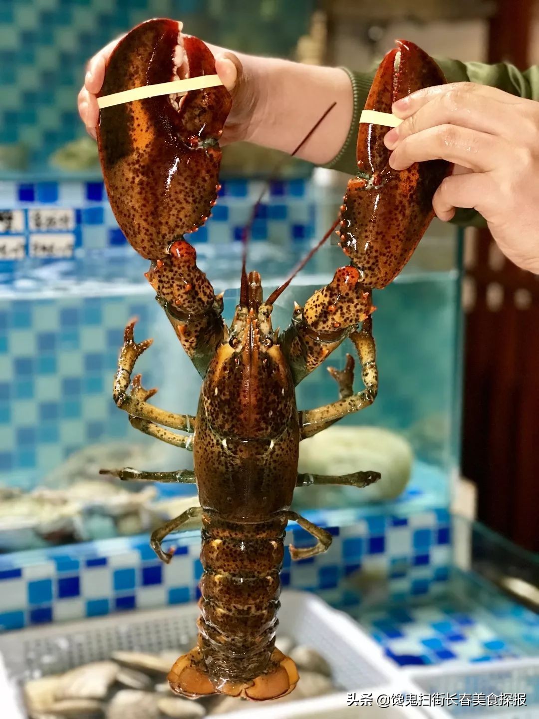 长春居然之家火锅,长春有个火锅很出名叫什么