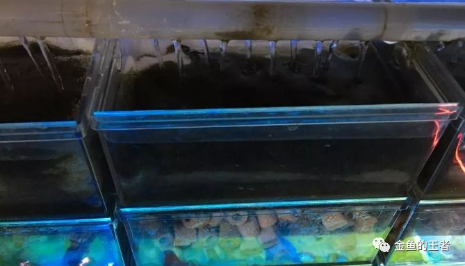 过滤基本操作,上过滤怎么做成最强过滤